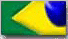 Verso em portugus do site